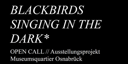 Open Call für Ausstellungsprojekt mit Benjamin Stumpf, Museumsquartier Osnabrück und EMAF